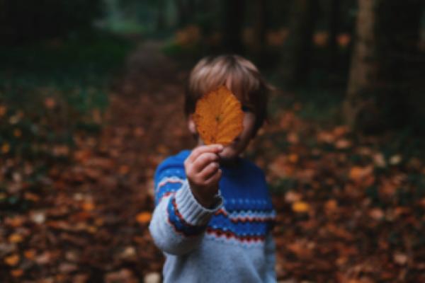 Five things to ask foster carers or adoptive parents (and three questions to avoid)