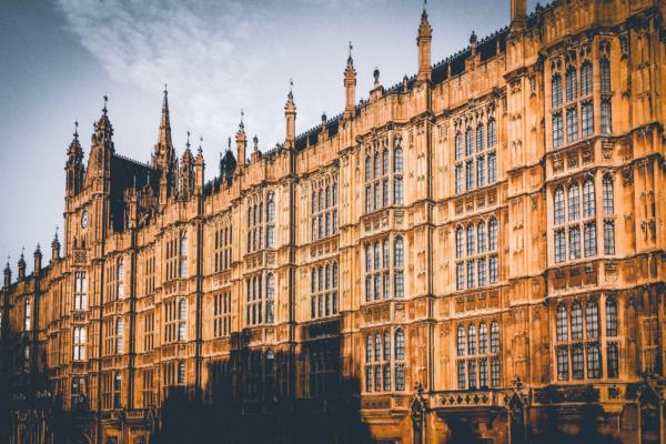 MPs open inquiry into the future of adoption support