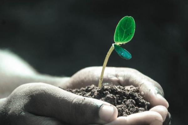 Reflection 5: Changing futures