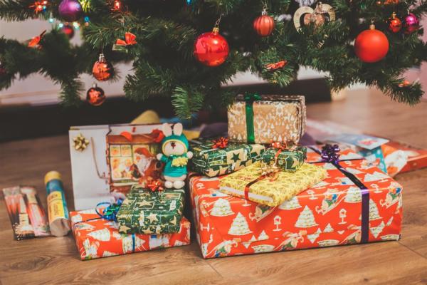 Christmas with the Hobbs* family