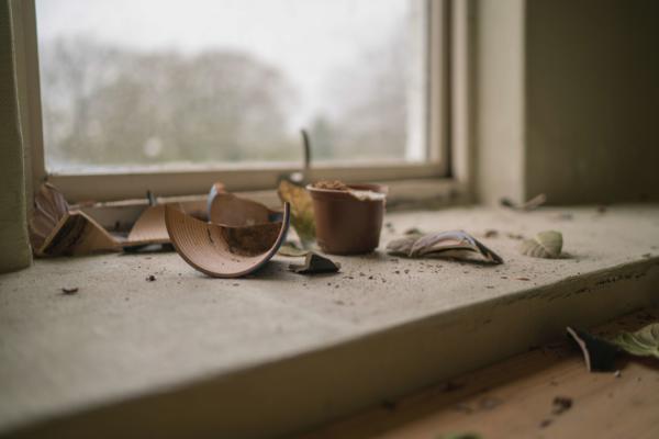 Thoughts of a foster carer: Placement disruption