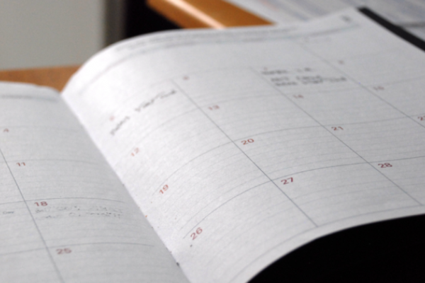 Reflections from a foster carer: Diary of introductions