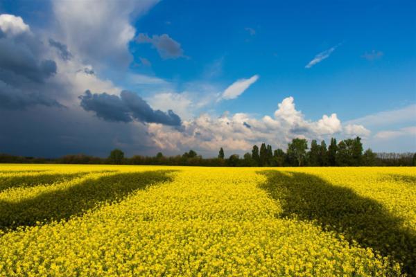 A prayer for Ukraine