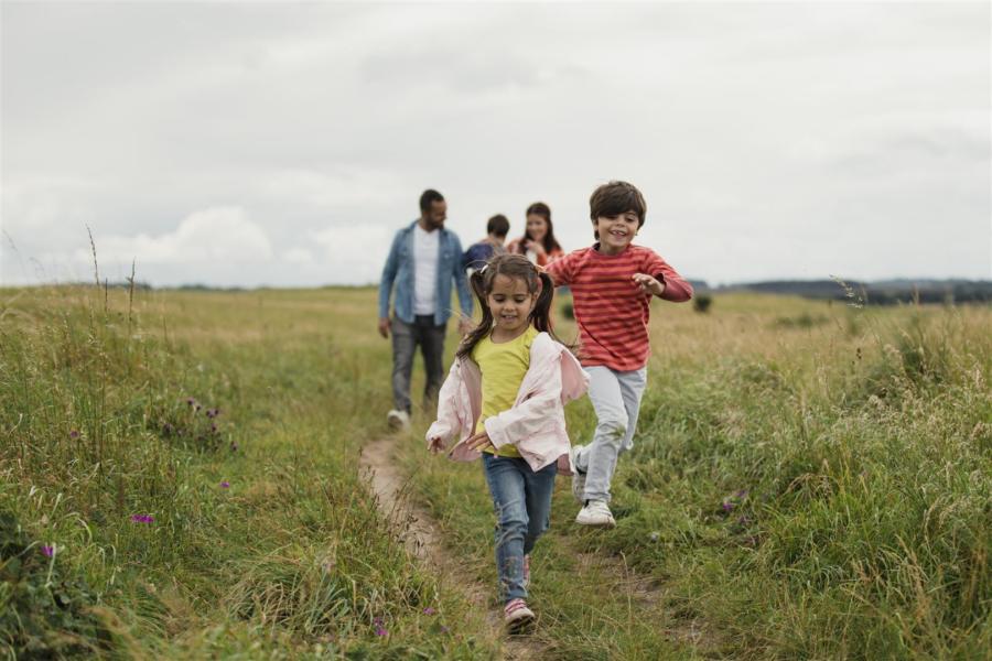 Take up fostering or adoption